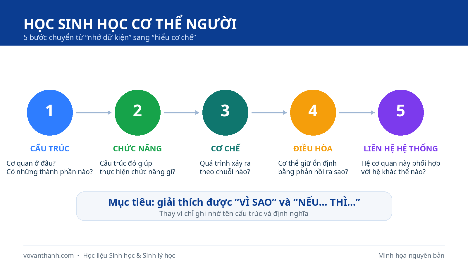 Học Sinh học cơ thể người như thế nào để hiểu thay vì học thuộc?