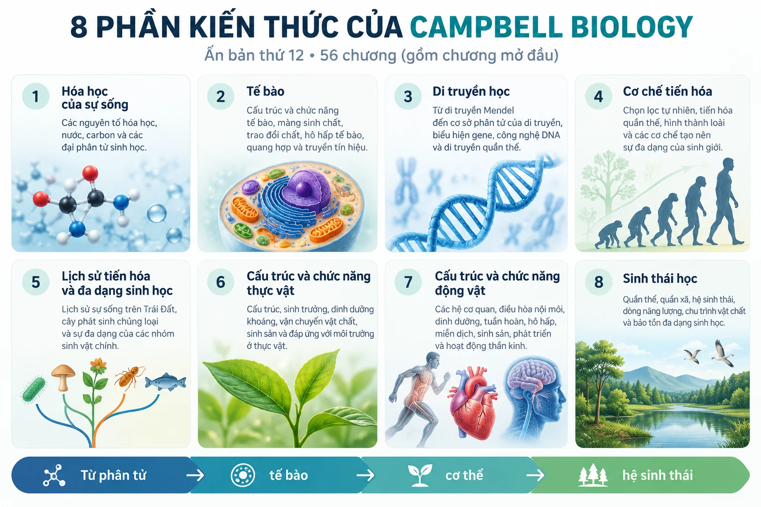 Infographic 8 phần kiến thức trong Campbell Biology 12th Edition, từ hóa học sự sống đến sinh thái học