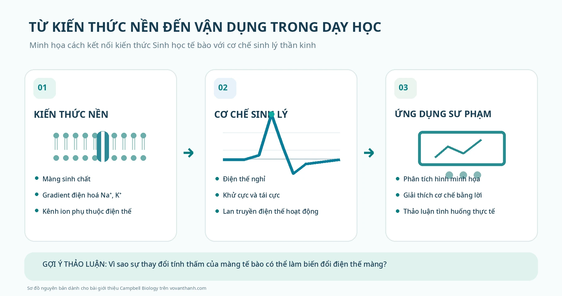 Sơ đồ từ kiến thức màng sinh chất và ion Na K đến điện thế hoạt động và hoạt động dạy học sinh lý thần kinh