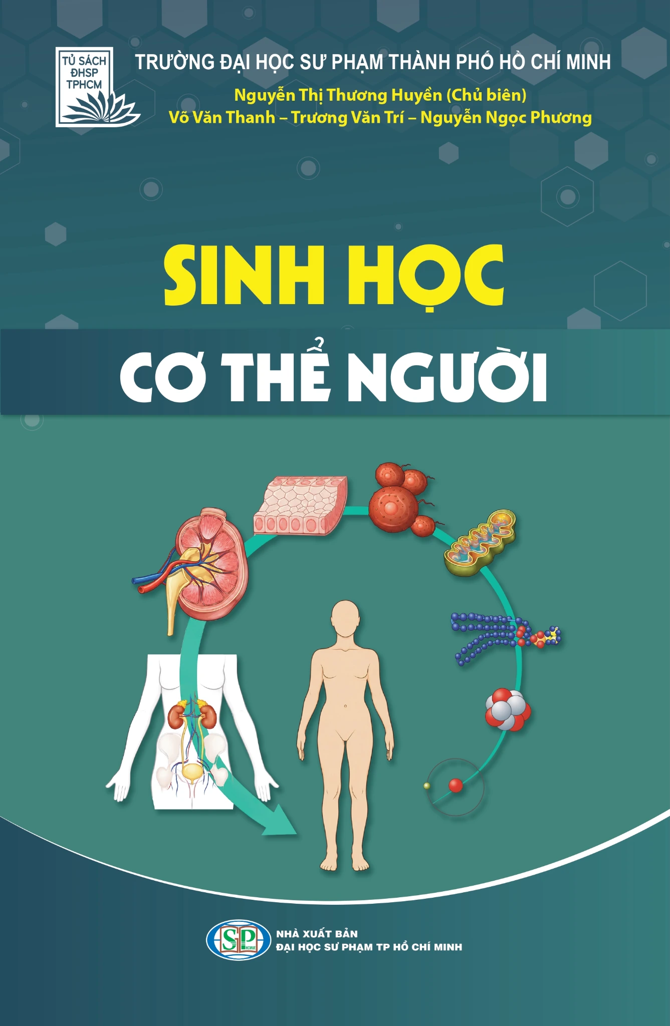 Bìa giáo trình Sinh học cơ thể người, Nguyễn Thị Thương Huyền chủ biên